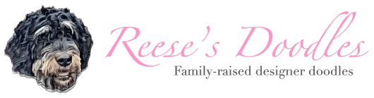 Reese's Doodles