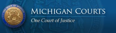 Michigan Court of Appeals for criminal convictions