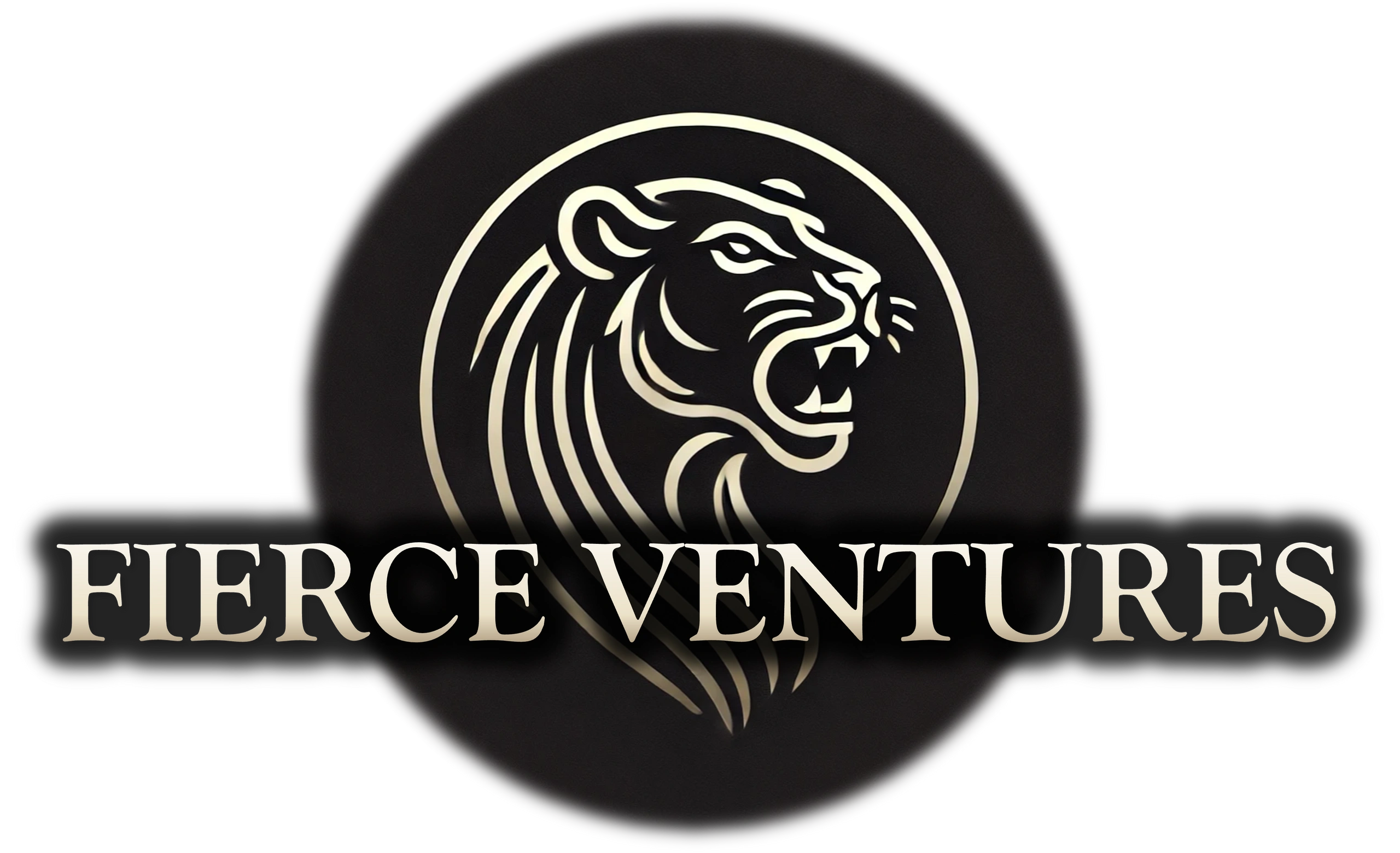 Expert Data Monetization Strategy | Fierce Ventures