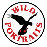 Wild Portraits