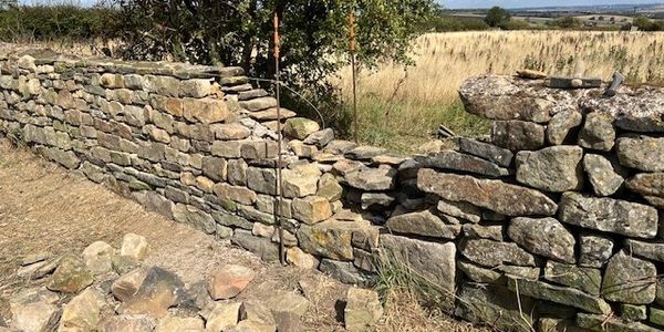 Field boundary wall rebuild