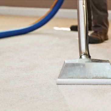 carpet cleaning