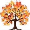 New November