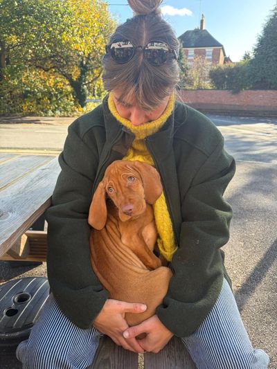 Person in sunglasses holding a brown puppy on a sunny day.