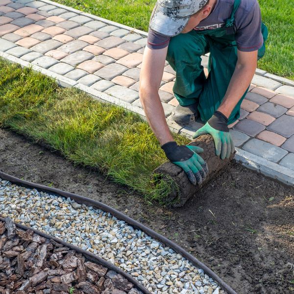 A professional laying turf for a new lawn