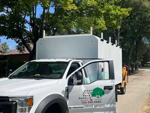 Penn Line Tree Service Tree Removal Pruning Storm Clean Up - WEST PENN TREE SERVICE