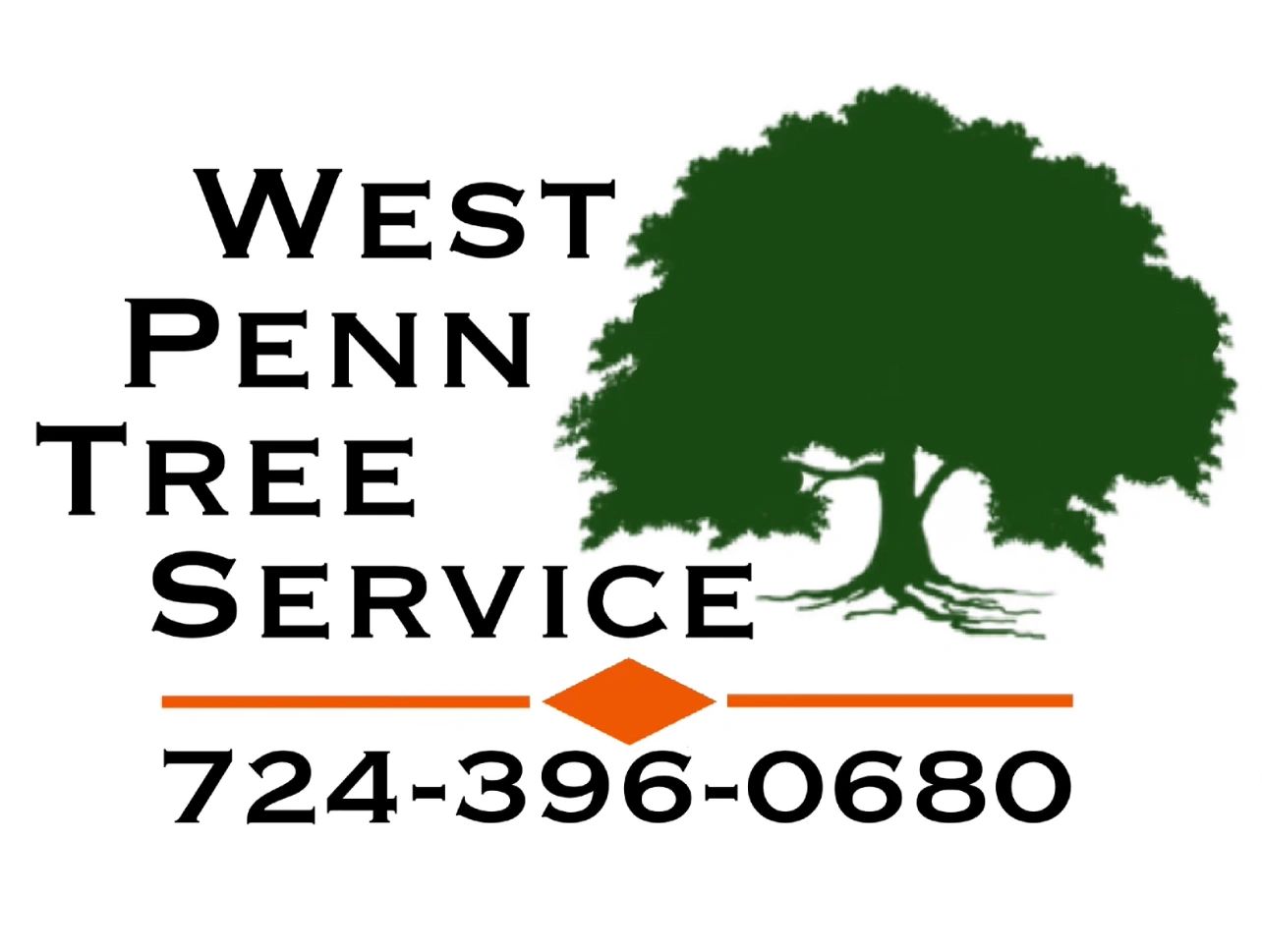 Tree Removal Pruning Storm Clean Up WEST PENN TREE SERVICE