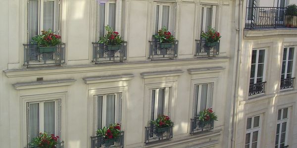 Facade of a building with flower boxes on windows.