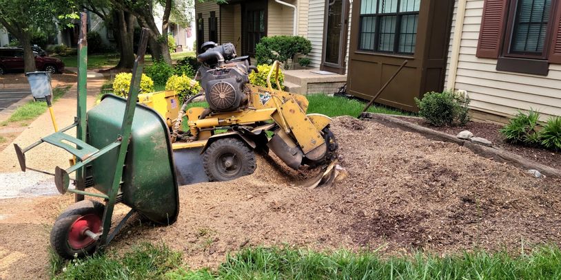 A person using a wheelbarrow and a grinding machine to clear debris in an arborist work site. 