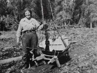 Jessie Curtis Ainsworth