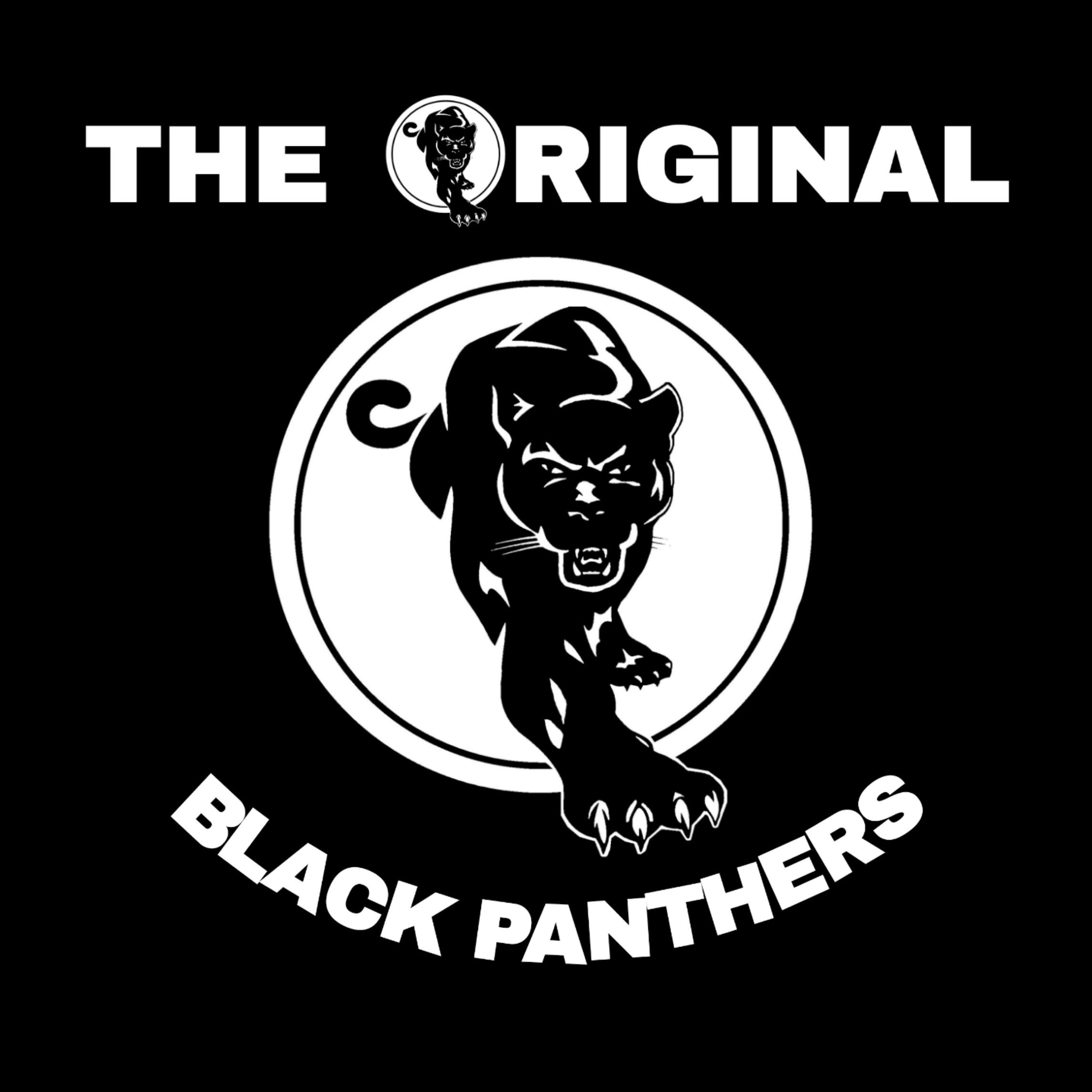 The Original Black Panthers