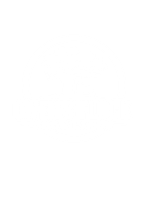 Owen's Flock Show Lambs