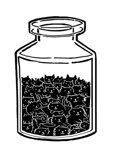 Rebecca Miller Illustration - Black and white hand-drawn illustration of cats in a jar. Cute, funny.