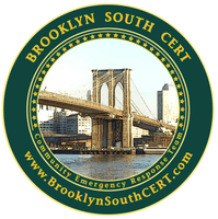 Brooklyn South 
Community Emergency Response Team