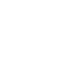 Southern Cove Labradoodles