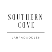 Southern Cove Labradoodles