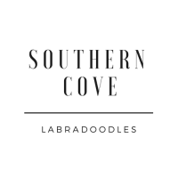 Southern Cove Labradoodles
