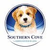 Southern Cove Labradoodles