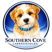 Southern Cove Labradoodles