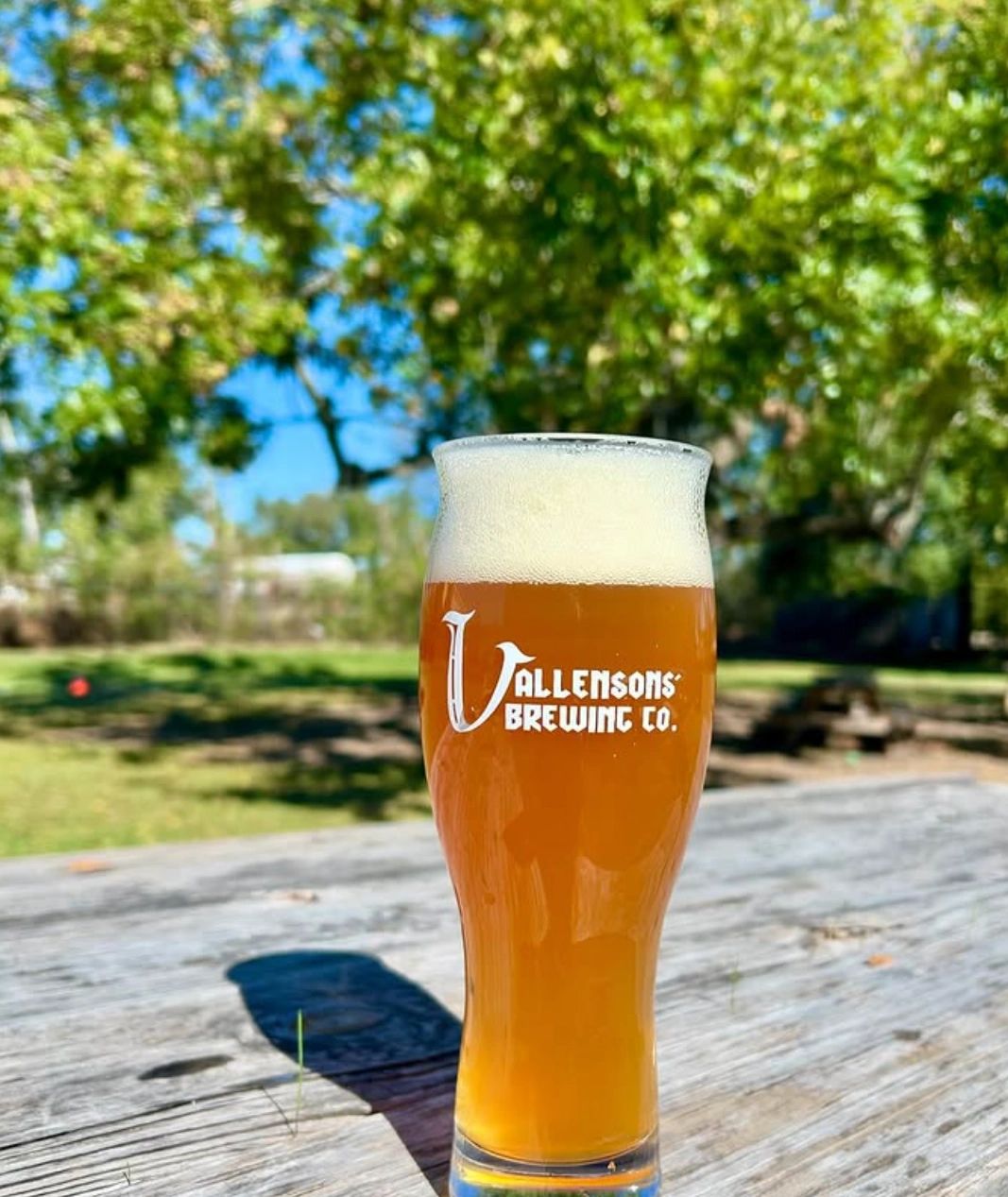 Vallensons' Brewing Company photo