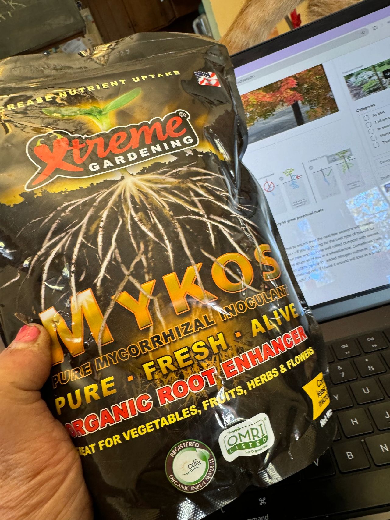 added into the backfill of a newly fresh dug out hole.                         I TRY TO USE THIS ON ALL OF MY NEWLY FRESH PLANTINGS  