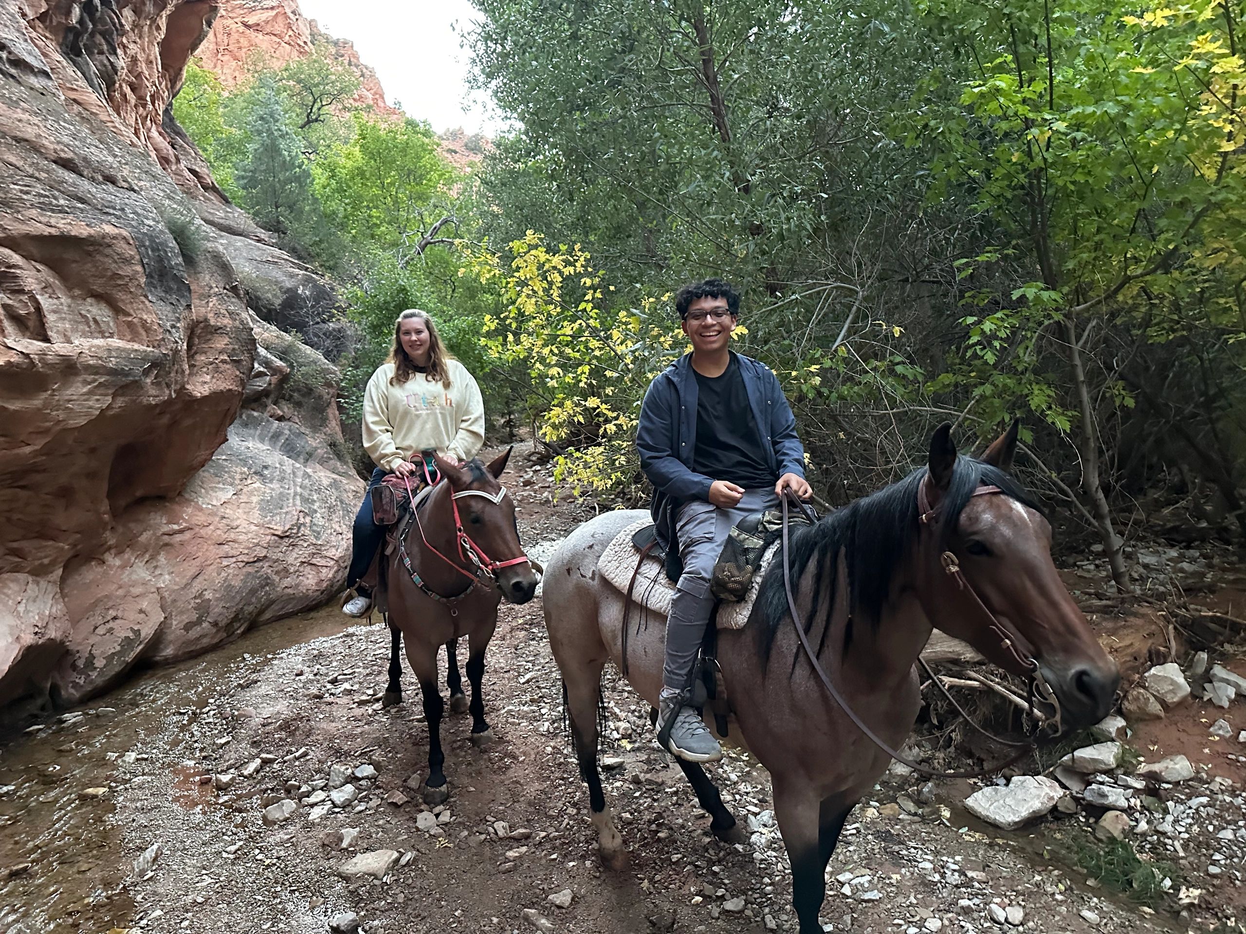 1 hr 15 minutes Guided Trail Ride