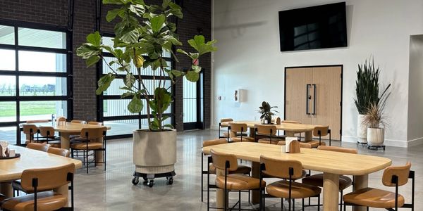 Modern dining area with wooden tables, leather chairs, and large indoor plants.