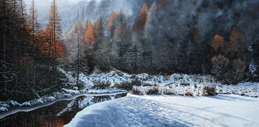 Snow covered landscape, sunlight lighting up the trees, cool frost and icy river
