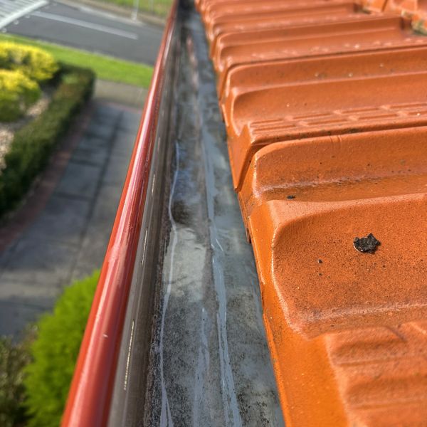 Close-up of a roof gutter and orange roof tiles with a small leaf on one tile.