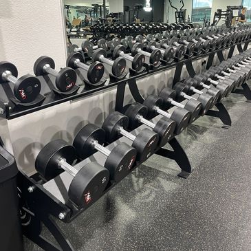 Rows of dumbbells lined up on a rack in a gym.