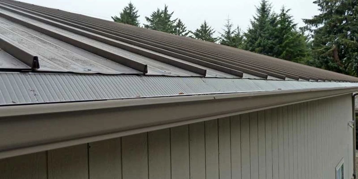 Close-up of a metal roof and gutter on a wooden building with trees in the background.