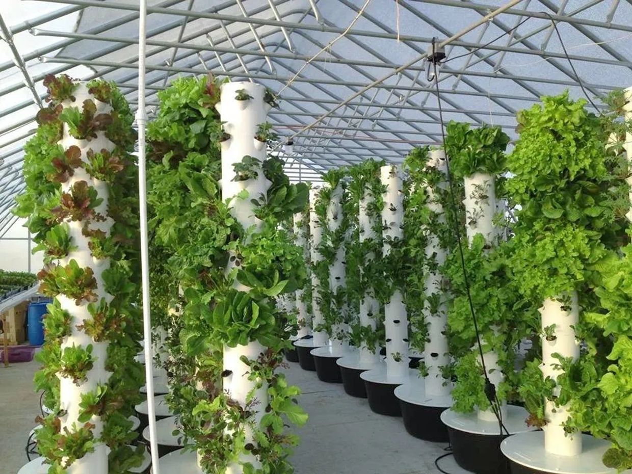 Advantages of Aeroponics Tower Gardens