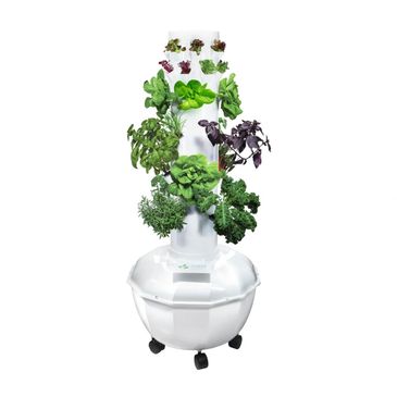 Aeroponics vs. Hydroponics: Which Is Better for You?