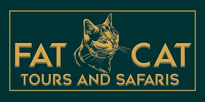 FAT CAT TOURS & SAFARIS