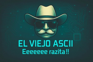 diseñatuplayera.com