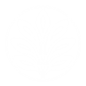 emprender desde el ser