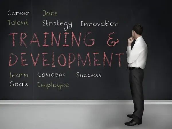 SANTA FE STREET CONSULTING