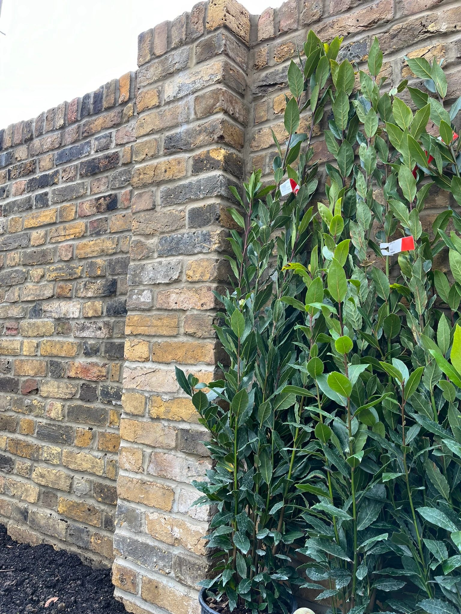 LNK BRICKWORK build a garden wall pointing repointing London Pulham Putney Wandsworth Clapham Balham