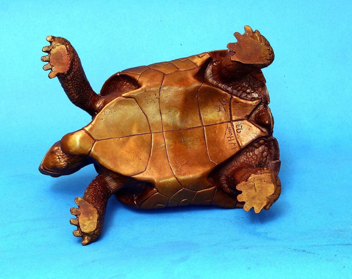 b-41 - - Desert Tortoise - Bronze - Edition of 90 - 10" L x 5" W x