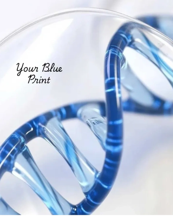 selg image personal development