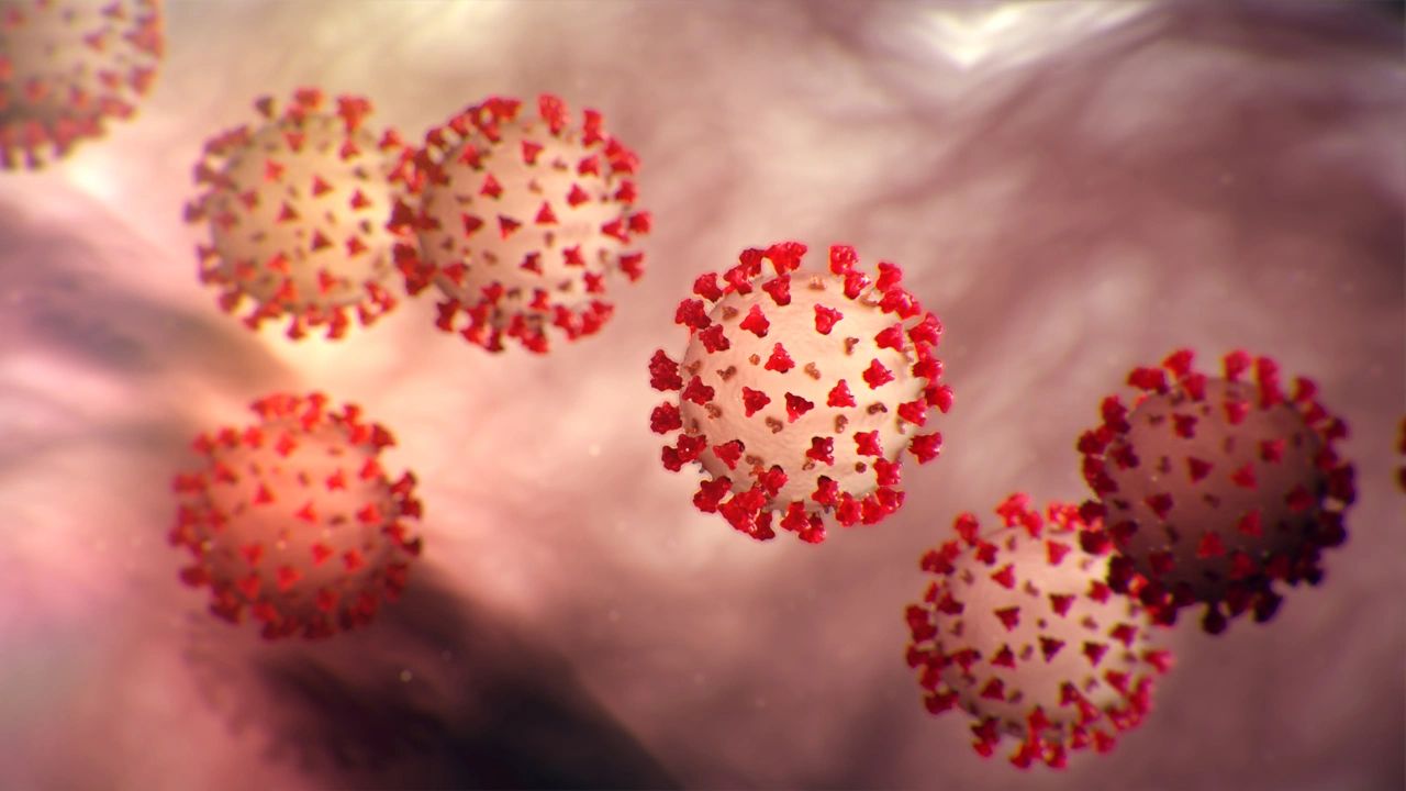 https://www.cdc.gov/media/dpk/diseases-and-conditions/coronavirus/coronavirus-2020.html https://www.cdc.gov/media/dpk/diseases-and-conditions/coronavirus/coronavirus-2020.html