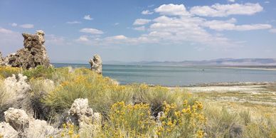 Lake scene with rocky formations and wildflowers.