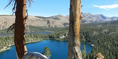 Scenic lake view framed by tree trunks and mountains.