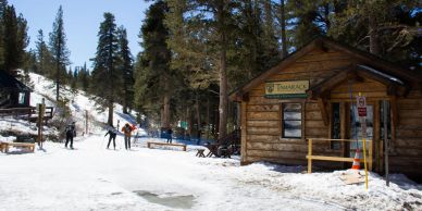 Skiers near a timber cabin in a snowy forest.