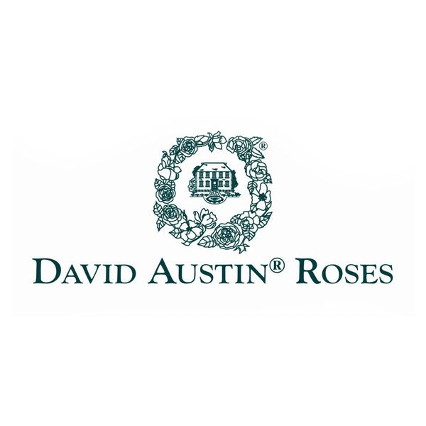David Austin