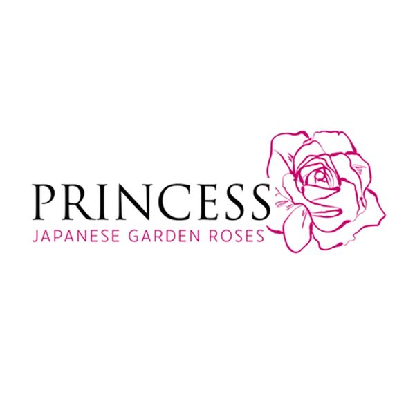 Princess Japanese