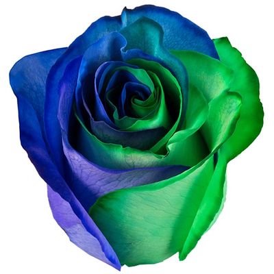 Rainbow Green Blue Purple