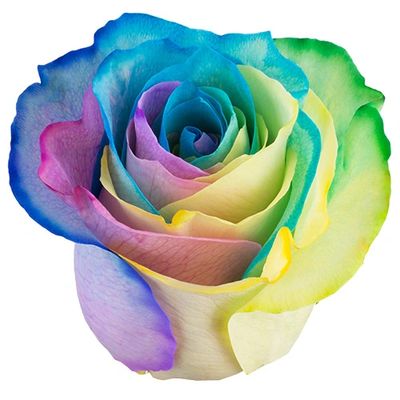 Rainbow Pastel