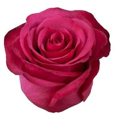 Roseberry