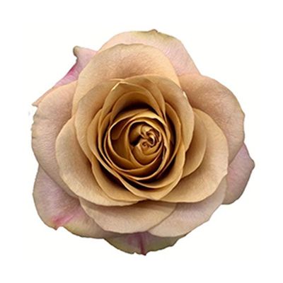 Symbol